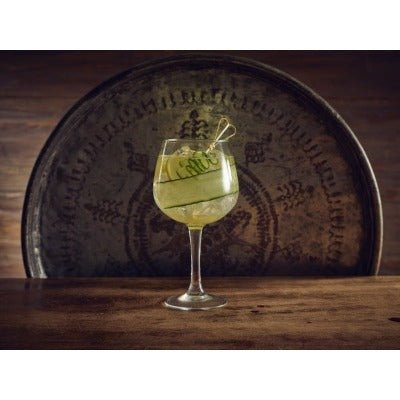 Ibiza Gin Cocktail Glass 25.3oz/720ml - Coffeecups.co.uk