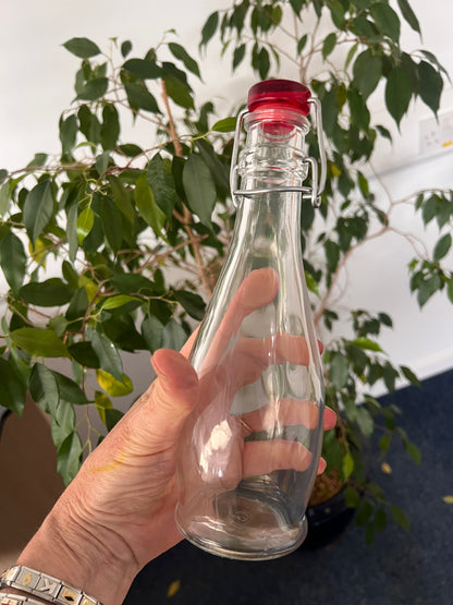 Borgonovo Indro clip top bottle with red lid 335ml