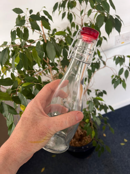 Borgonovo Indro clip top bottle with red lid 335ml