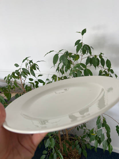 Churchill Profile White Plate 26.1cm/10.25" - Coffeecups.co.uk