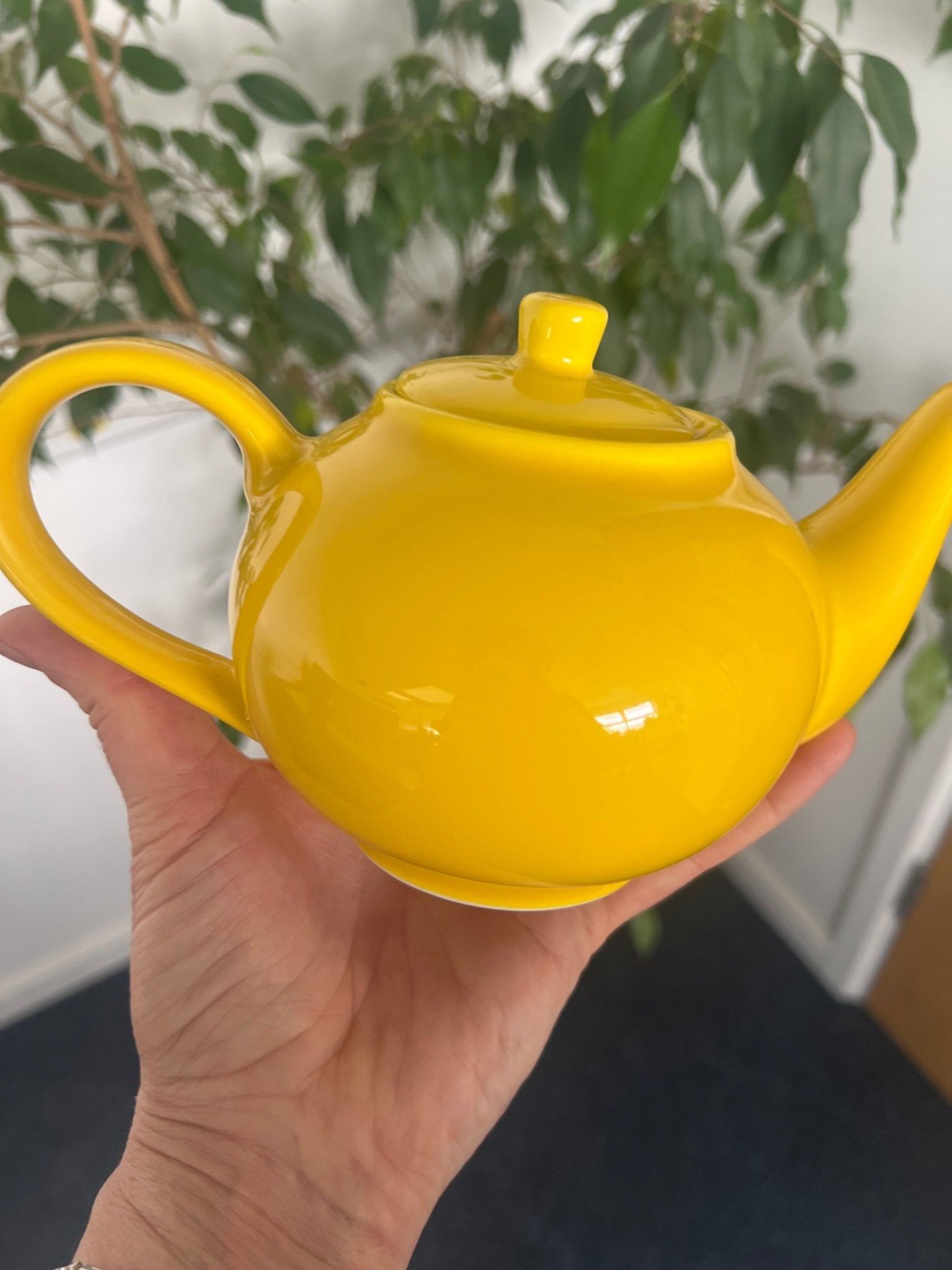GenWare Colours Teapots 16oz/455ml (Clearance) - Coffeecups.co.uk