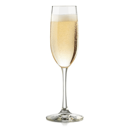 Vina Champagne Flute 8oz - Coffeecups.co.uk